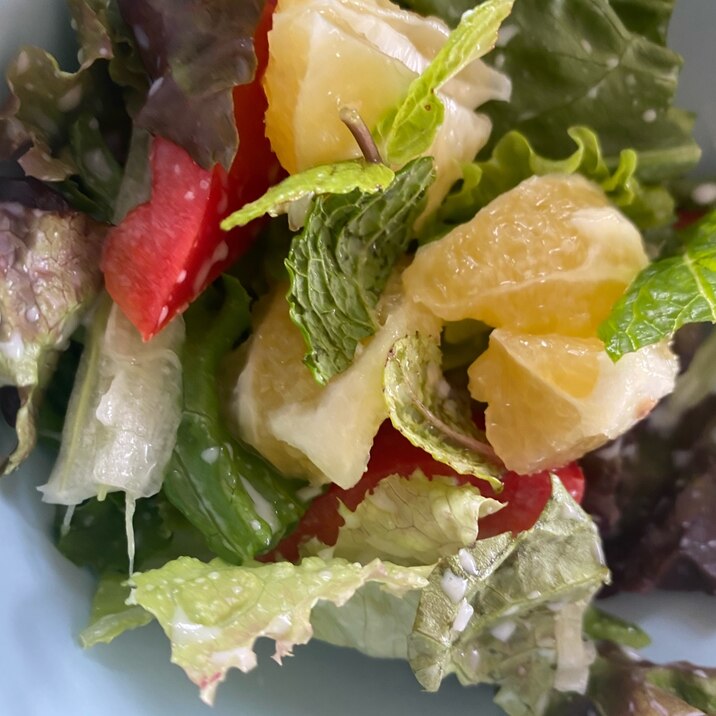 ミント香る柑橘入りサラダ レシピ 作り方 By てげてげ 楽天レシピ ミント香る柑橘入りサラダ レシピ 作り方 By てげてげ 楽天レシピ